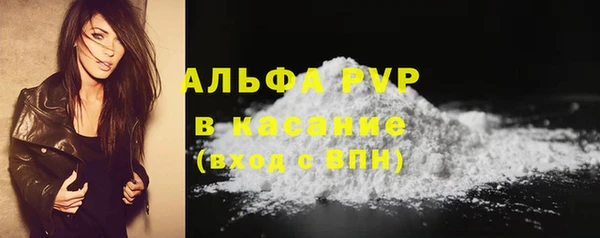 СК Аркадак