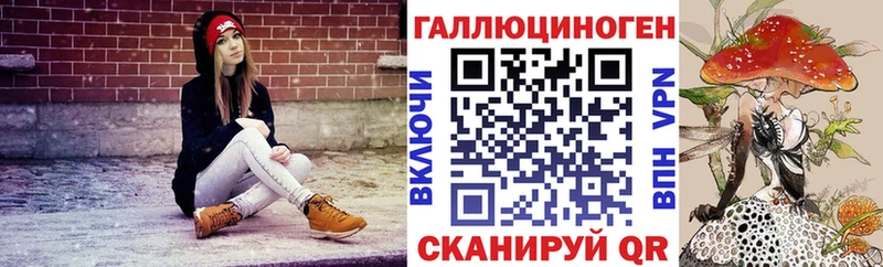 Галлюциногенные грибы мицелий  Купить закладки  Улан-Удэ 